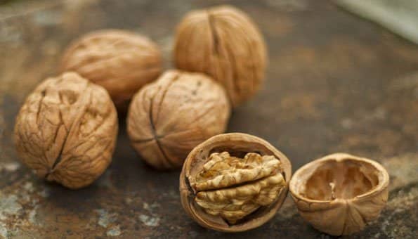 haerzbluet_pasta_baumnuss